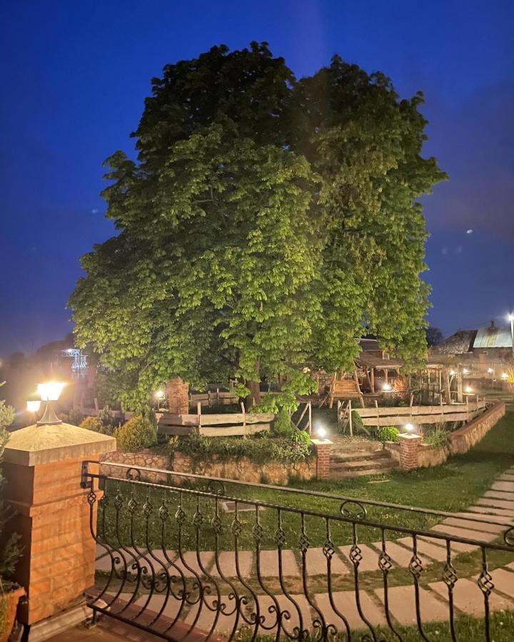 Kastely Grof Zichy Hotel Haniska Bagian luar foto