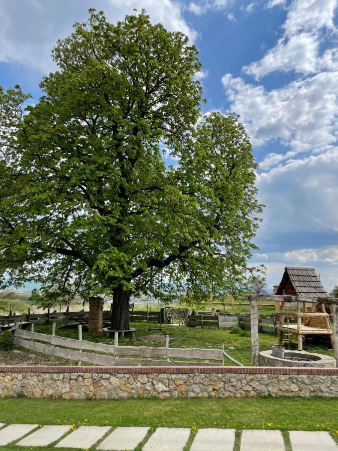 Kastely Grof Zichy Hotel Haniska Bagian luar foto